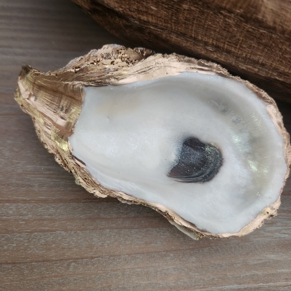 Elegant unique oyster jewelry dish - Picture 3 of 6